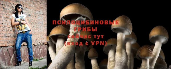 соль ск Беломорск