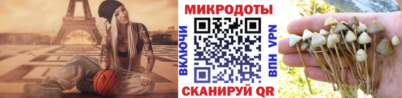 Псилоцибиновые грибы мицелий закладка Волчанск